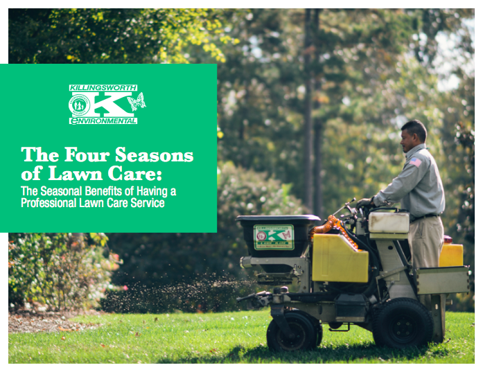Four Seasons of Professional Lawn Care